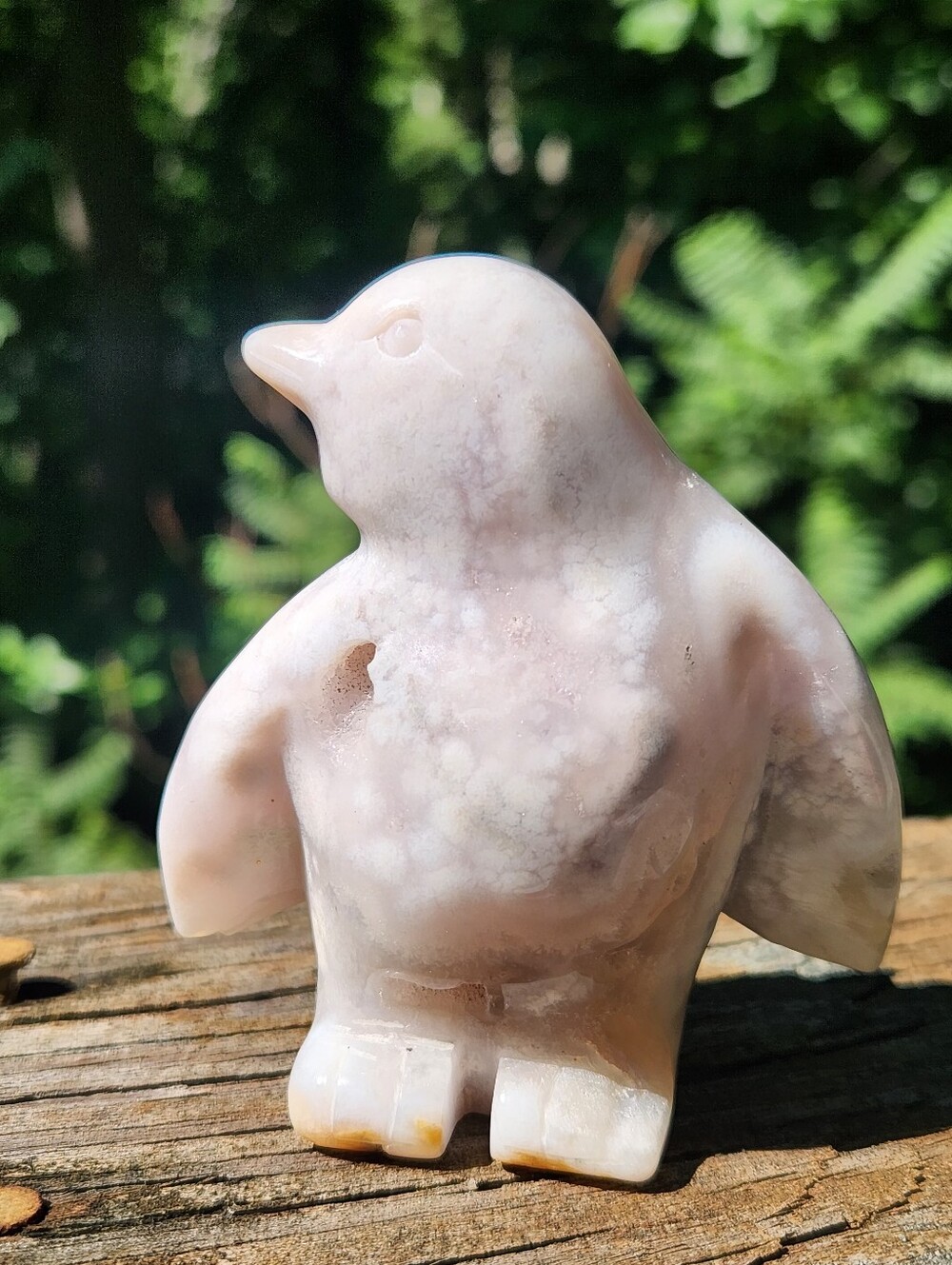 Flower Agate Penguin crystal stone carving with druzy pockets